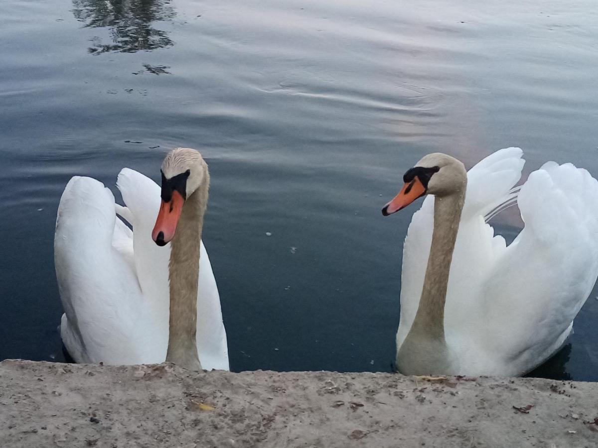 Les Tonneaux De L'Eure Logement Insolite Neuilly  Bagian luar foto